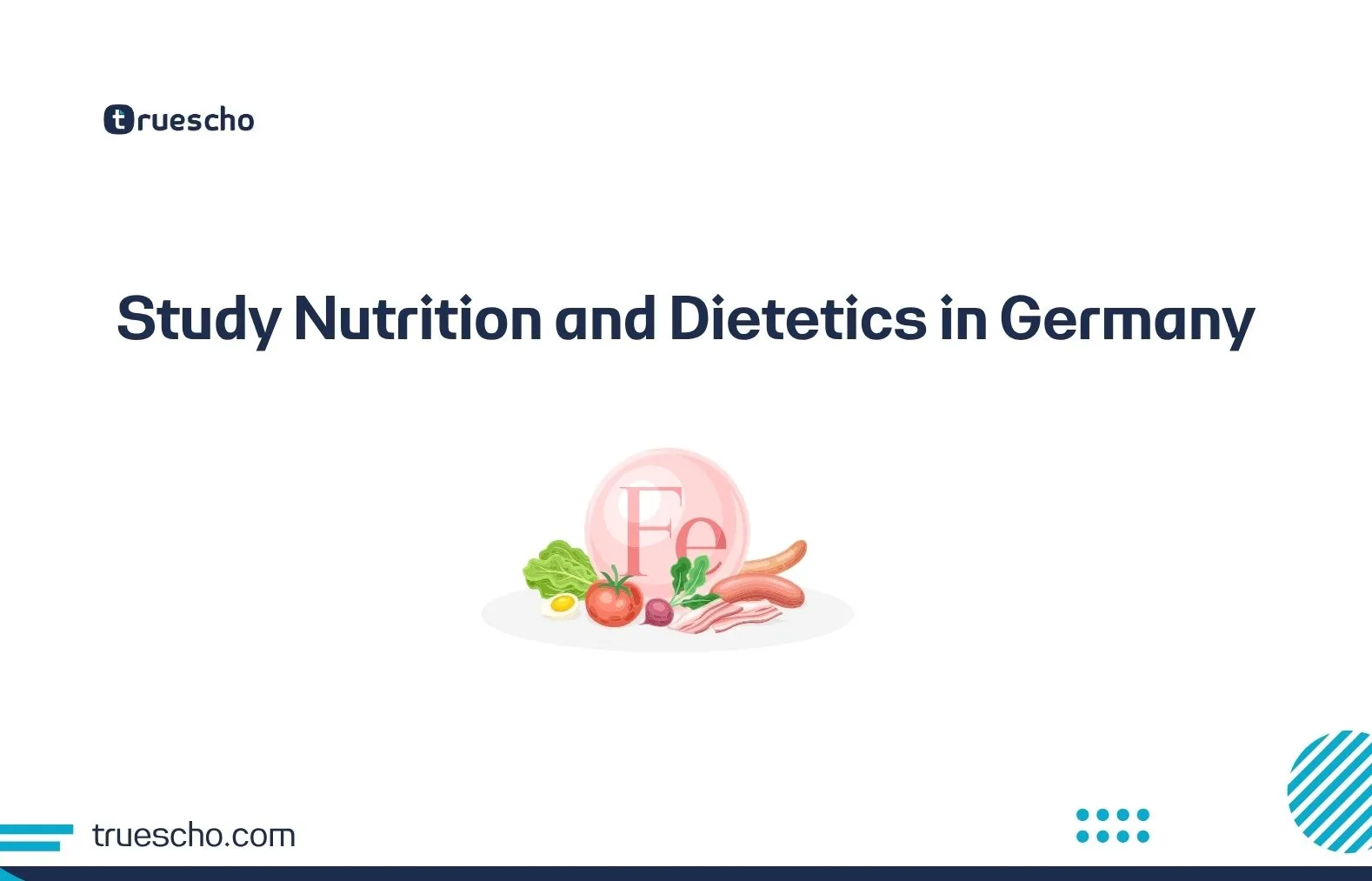 Study Nutrition and Dietetics in Germany