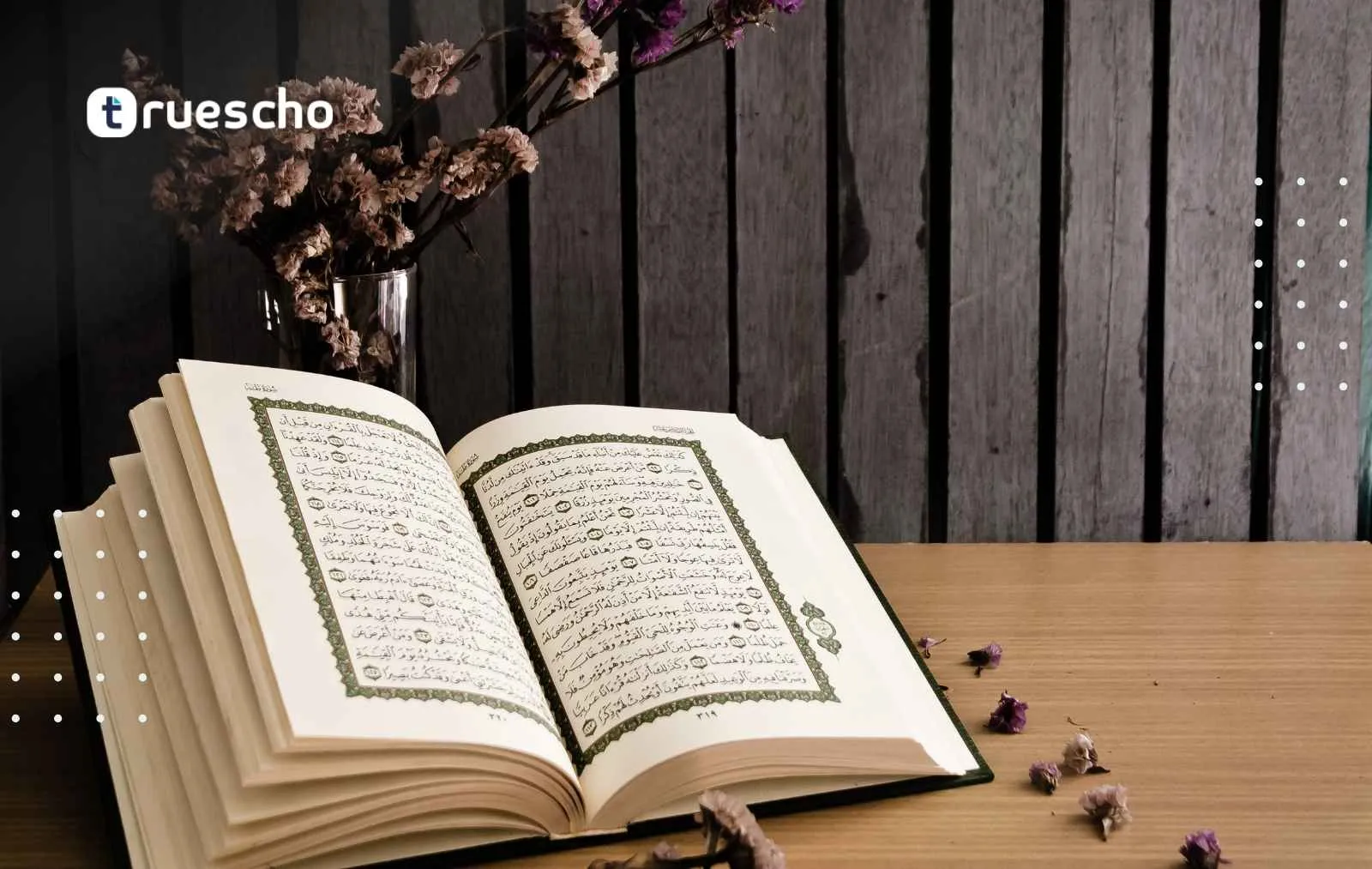 Study Quran in Turkey