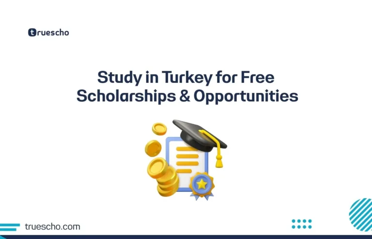 Study in Turkey for Free