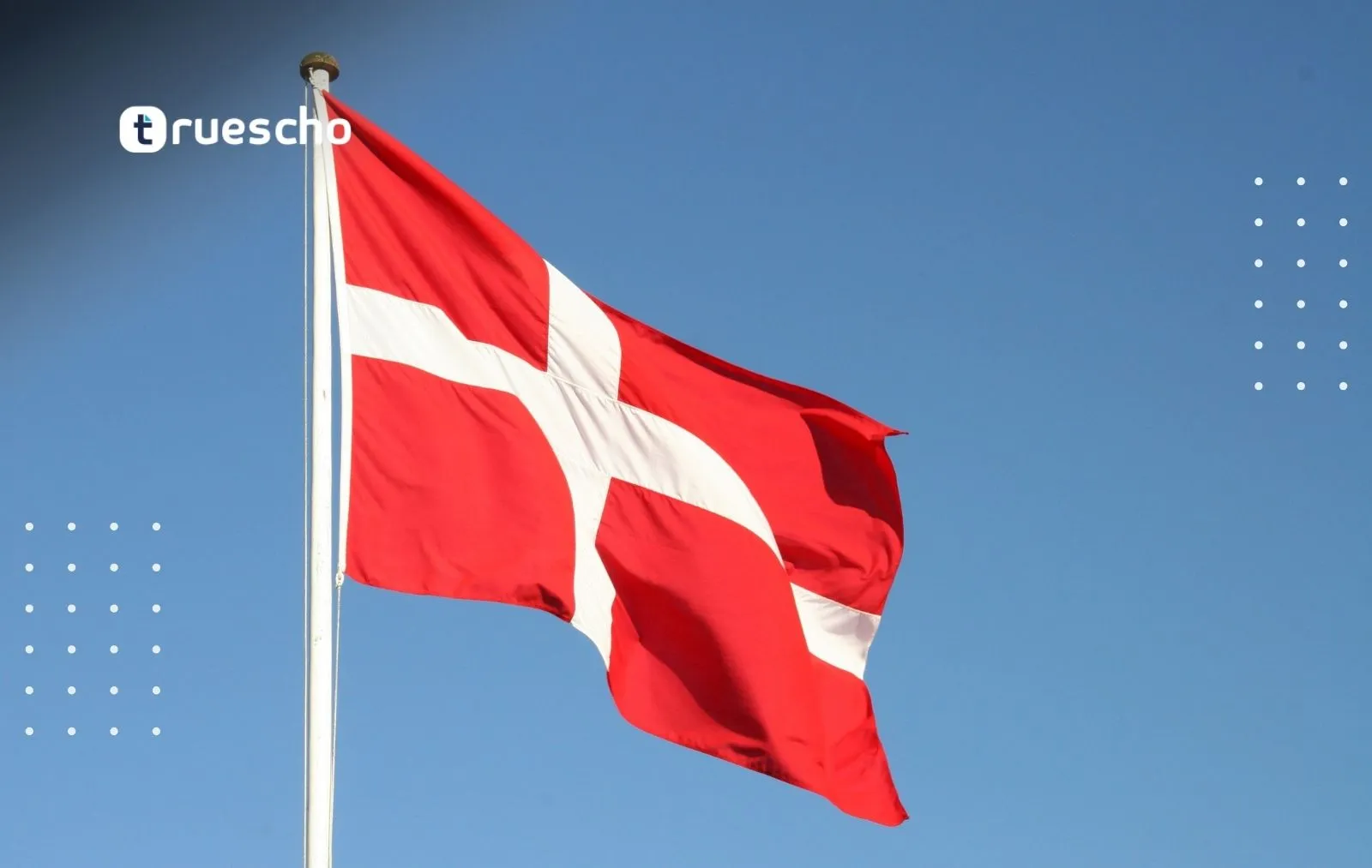 DARA Fellowship Program 