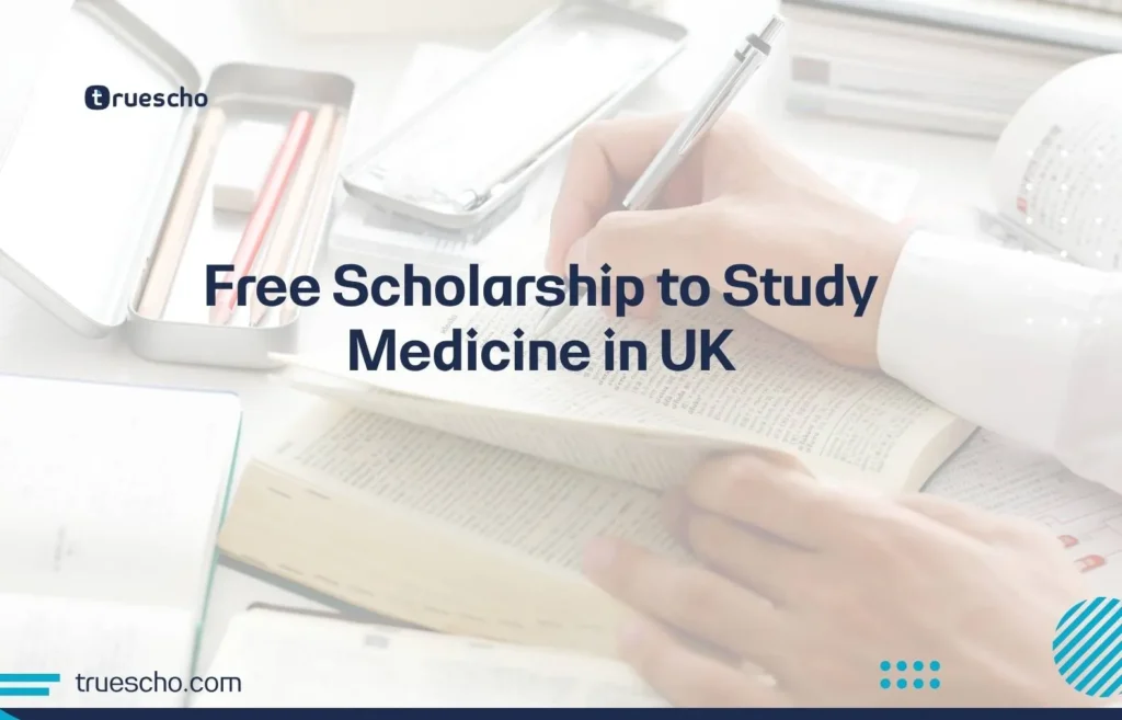 Why Did You Choose to Study in the UK