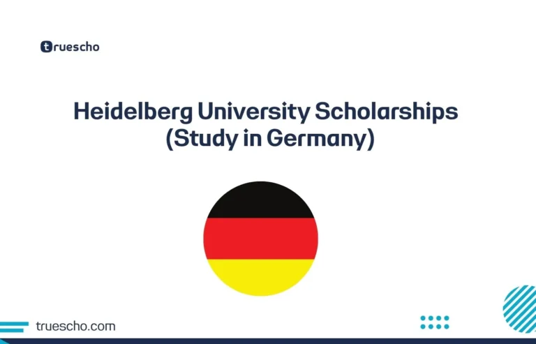 Heidelberg University Scholarships