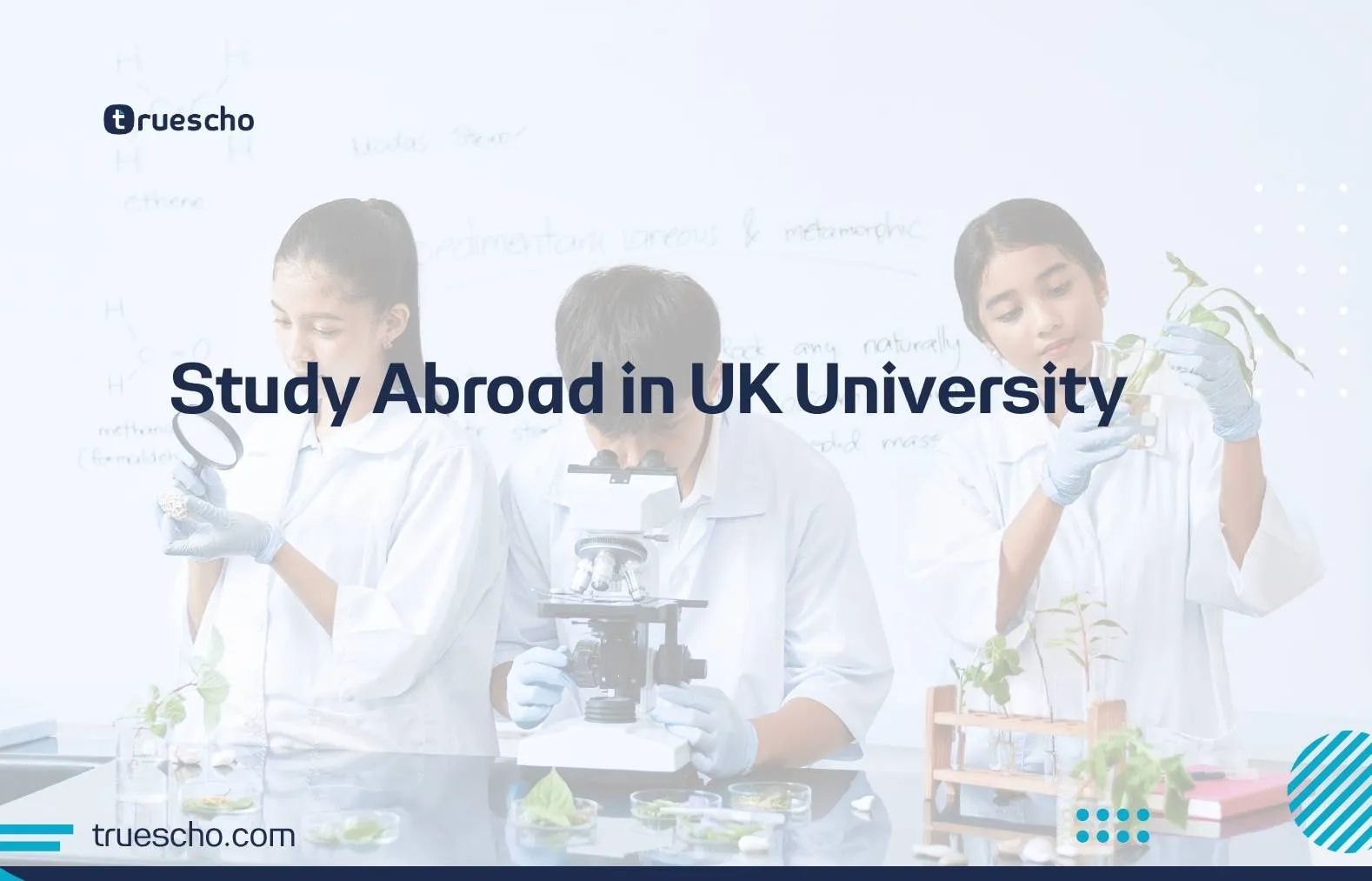 Study Abroad in UK University