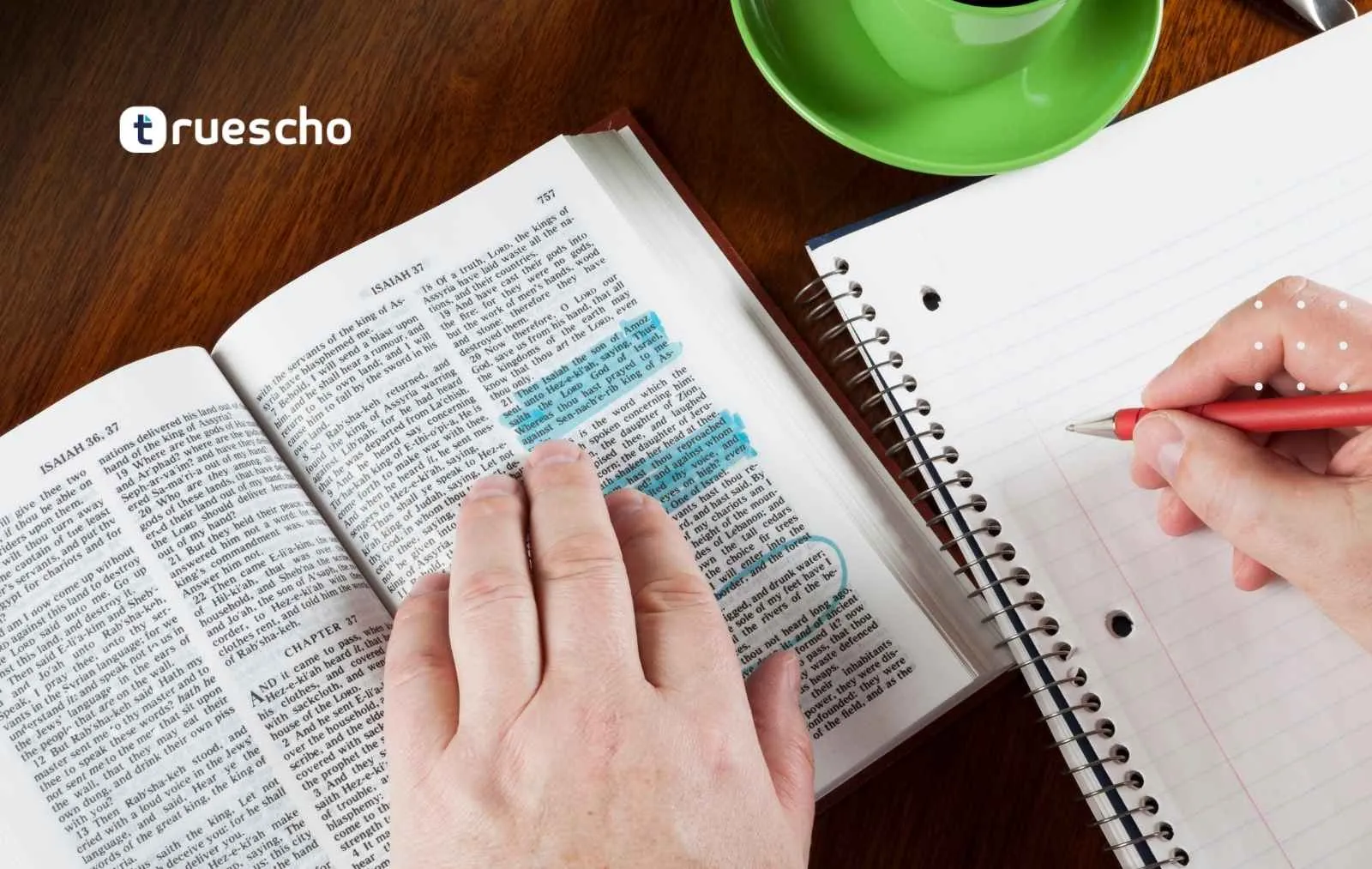 How to Study Free in USA