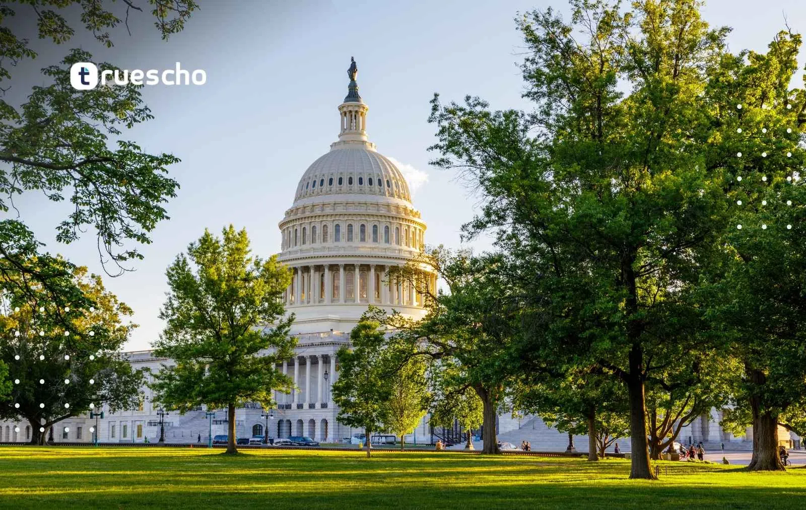 USA Study Consultants in Kanpur Directory