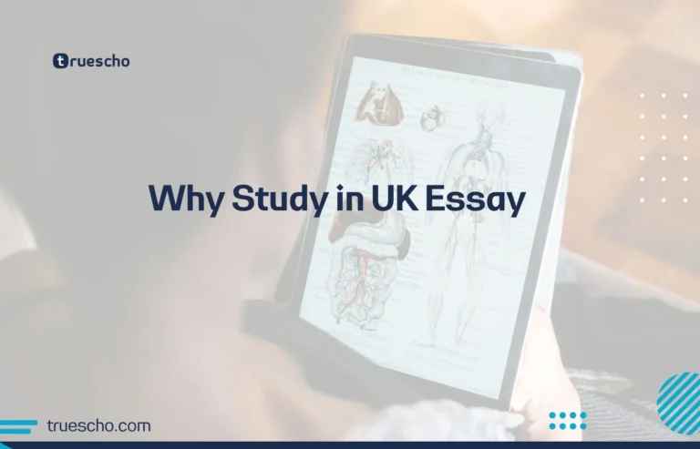 Why Study in UK Essay