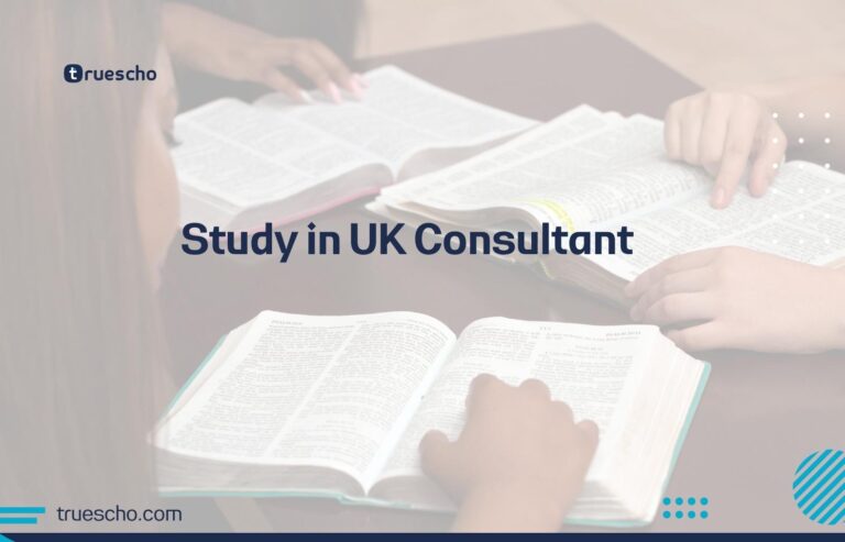 Study in UK Consultant