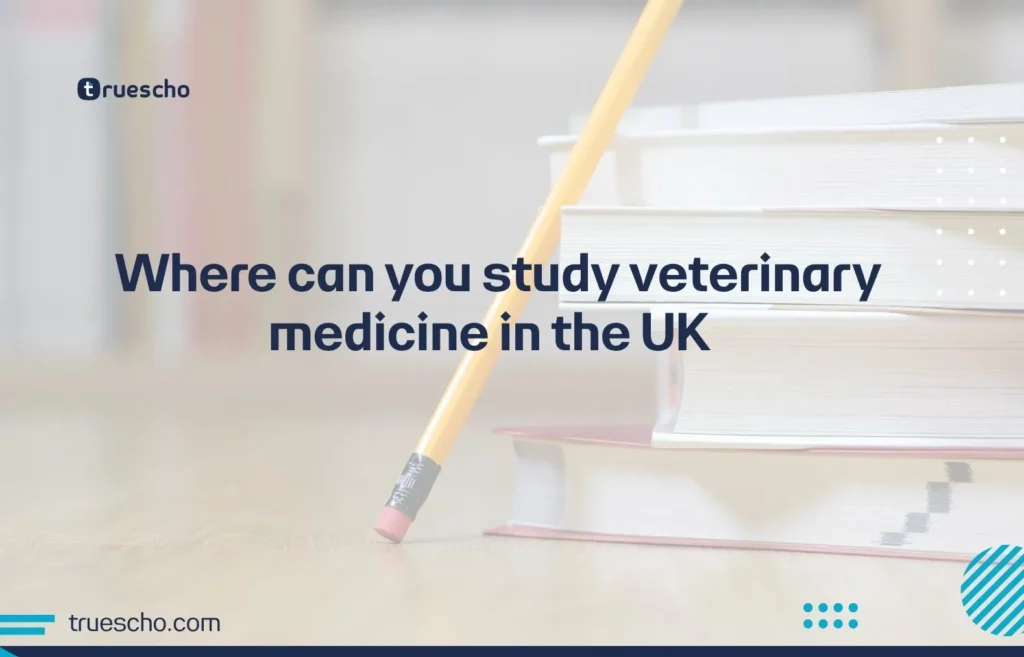 study veterinary medicine in the uk