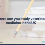 study veterinary medicine in the uk