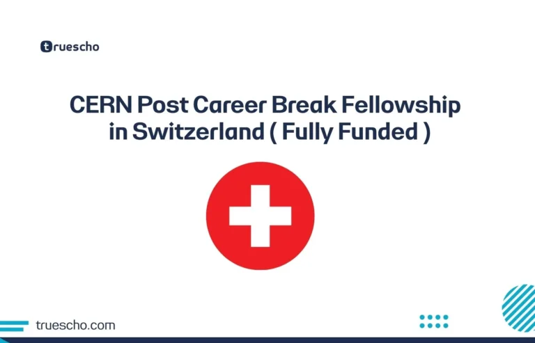 CERN Post Career Break Fellowship