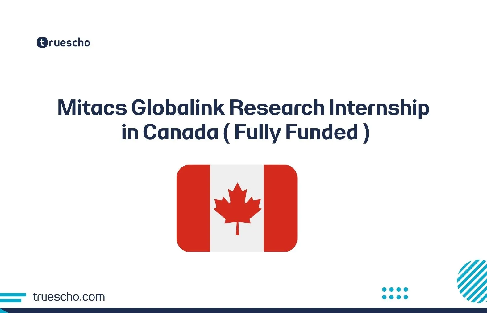 Mitacs Globalink Research Internship