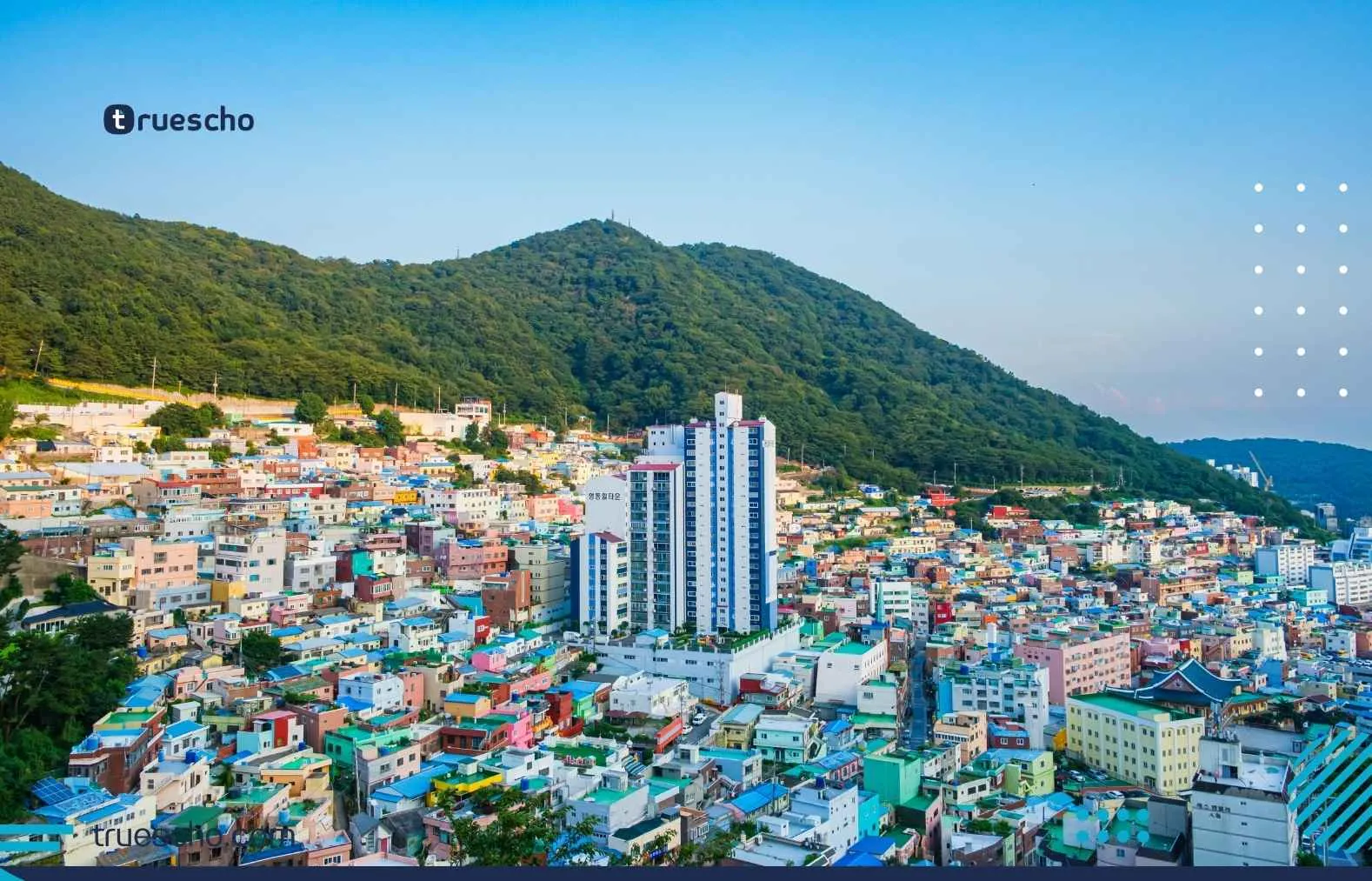 UST South Korea Scholarship 