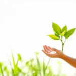 Sustainability Volunteering 2025 - Professional Swiss-style featured image | Truescho.com