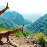 Wildlife Volunteering Abroad 2025 - Professional Swiss-style featured image | Truescho.com