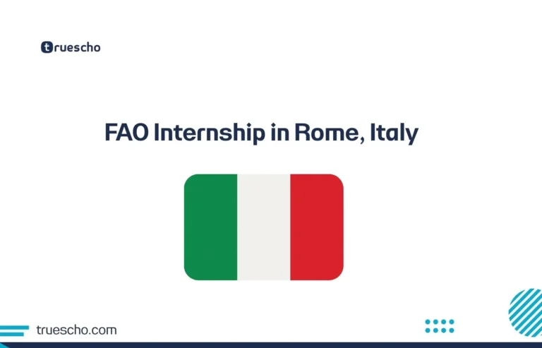 FAO Internship
