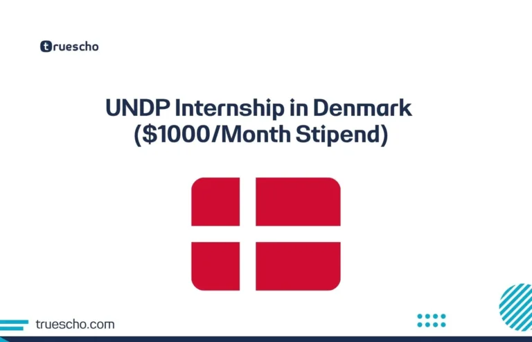 UNDP Internship in Denmark banner with Danish flag and $1000 monthly stipend