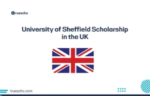University of Sheffield Scholarship 2025 in the UK – Fully and Partially Funded Opportunities for International Students.