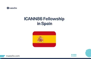ICANN86 Fellowship