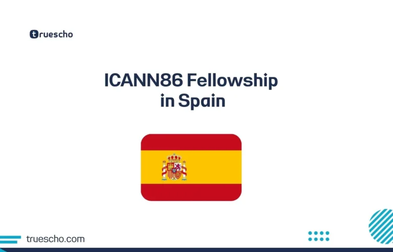 ICANN86 Fellowship