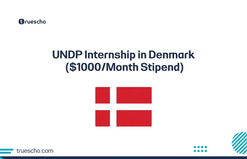 UNDP Internship
