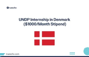 UNDP Internship