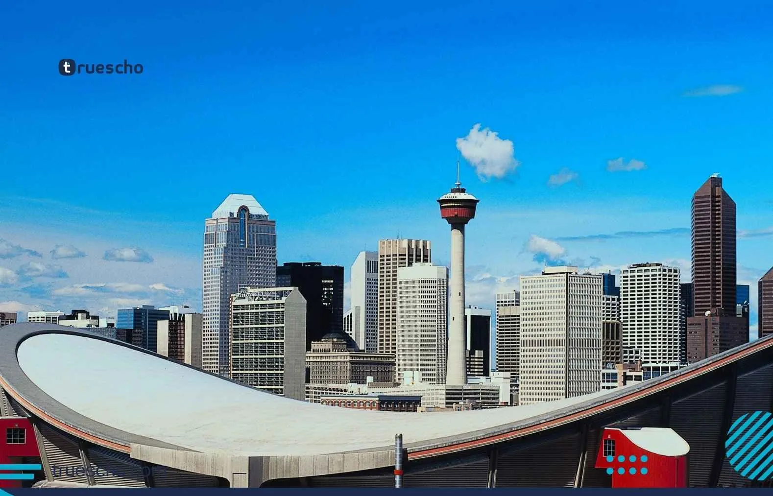 Young Leaders Program