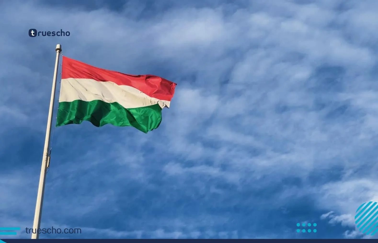 HIIA Future Leaders Program 