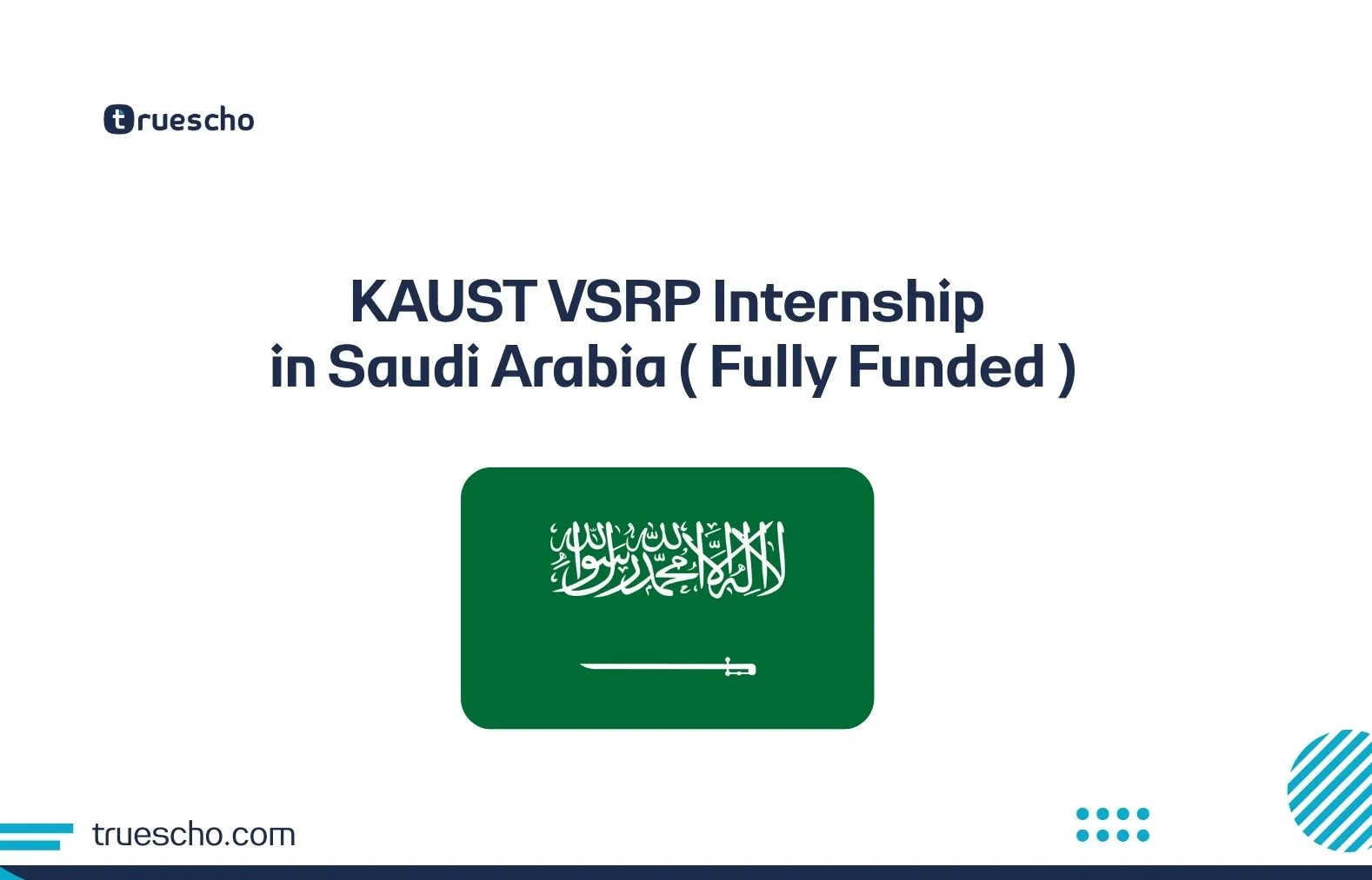 KAUST VSRP Internship