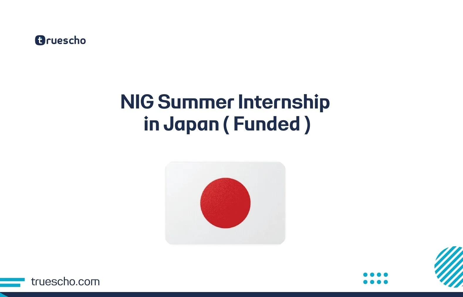 NIG Summer Internship