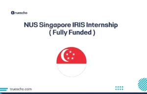 NUS Singapore IRIS Internship