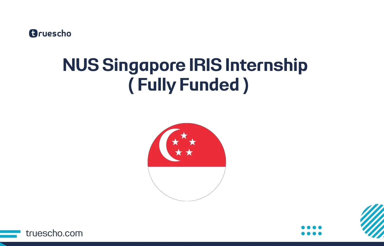 NUS Singapore IRIS Internship