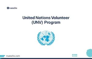 United Nations Volunteer