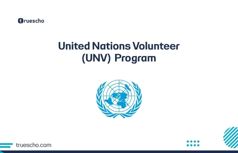 United Nations Volunteer