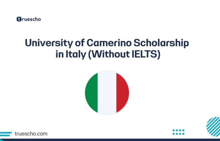 University of Camerino Scholarship