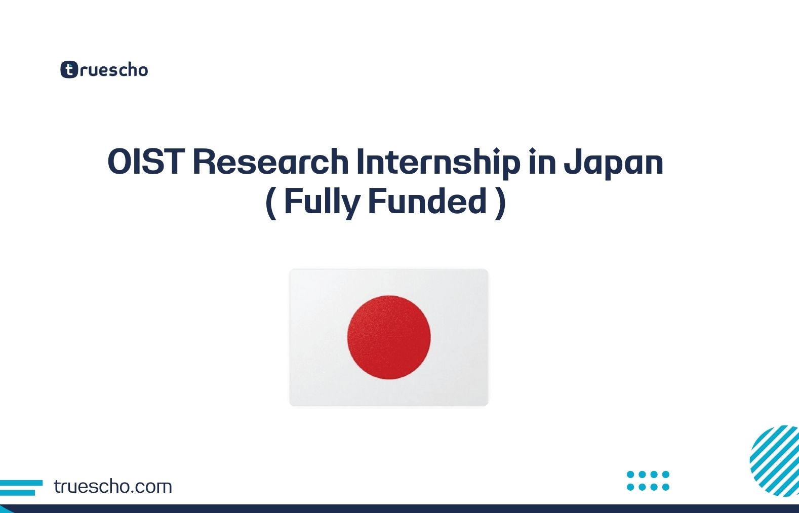 OIST Research Internship