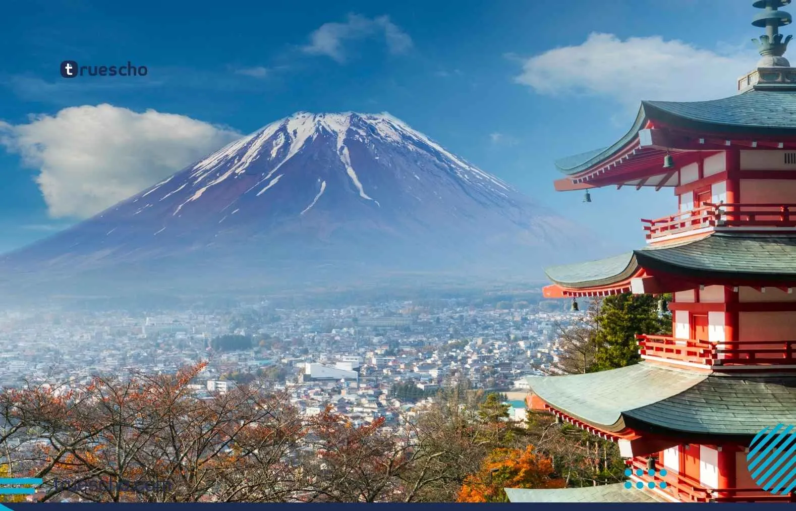 Sumitomo Electric Global Internship