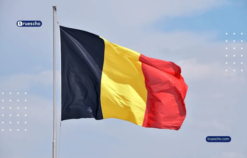 Master Mind Scholarship in Belgium