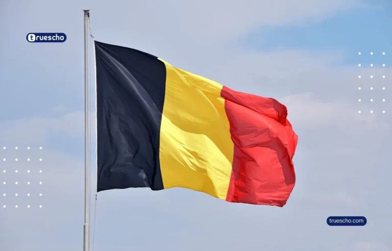 Master Mind Scholarship in Belgium