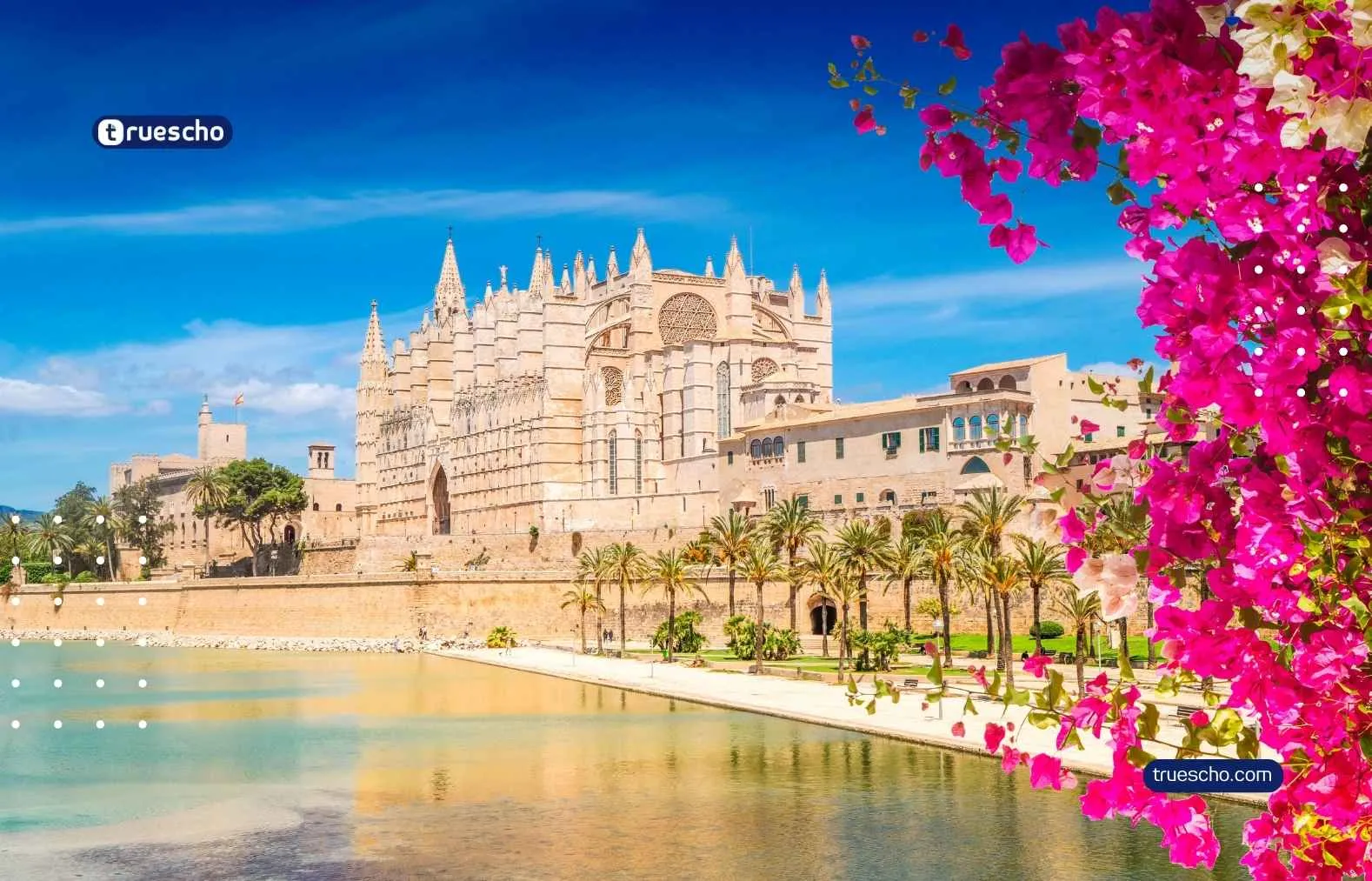 Youth Political and Economic Forum